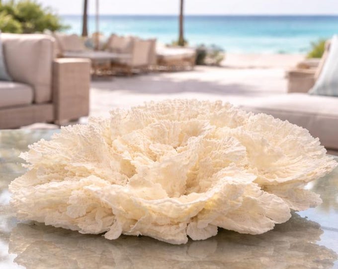 Large White Poca Coral Sculpture: Coastal Statement Piece (#CS-1226)