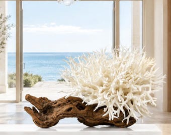 Authentic White Coral & Grape Wood Sculpture on Marble Base | One-of-a-Kind Luxury Coastal Tabletop Art