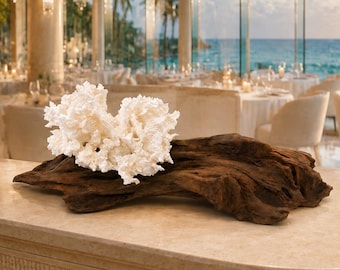 White Coral & Sculptural Driftwood Centerpiece | 24-Inch One-of-a-Kind Luxury Coastal Art