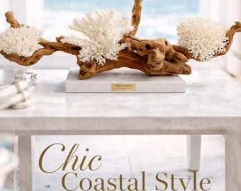 The Coastal Relic Series - Collection 1 | Luxury Beach House Decor | Statement Piece
