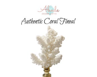 May include: White coral finial with a gold metal base. The coral is a natural piece and has a unique shape. The finial is perfect for adding a touch of coastal style to your home decor.