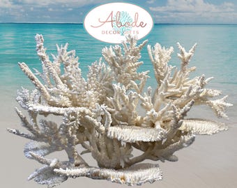 Large White Reef Coral Sculpture: Nautical Coastal Decor