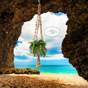 May include: A hanging plant with green leaves in a white pot, suspended from a macrame rope made of natural shells. The plant is hanging in a cave opening with a view of a sandy beach and blue ocean.