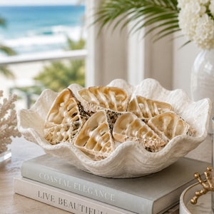 May include: A large, off-white, scalloped-edge bowl with a textured exterior, filled with several beige and brown spiral seashells. The bowl sits atop two stacked books with the text COASTAL ELEGANCE and LIVE BEAUTIFUL printed on the spines.