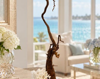 An Organic Study in Wood & Coral | One-of-a-Kind Coastal Sculpture