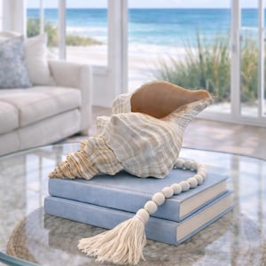 Large Florida Horse Conch Shell: Natural Coastal Decor (10-13")