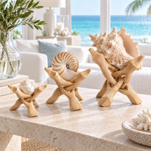 May include: Three distinct seashells displayed on individual light-colored wooden stands. The collection includes a small white shell, a spiral nautilus shell, and a large textured conch shell, each resting securely on a branch-like wooden base.