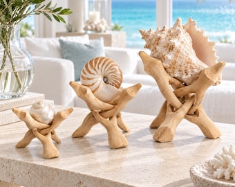Houten standaards voor koraal, natuurlijke schelpenverzamelaar, nautische decoratie