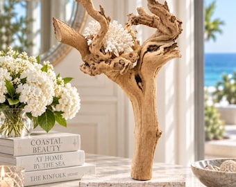 Tidal Arbor | One-of-a-Kind Natural Grapewood & White Coral Sculpture