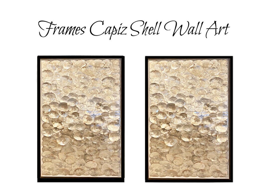 Modern Coastal Shadow Box Framed Shell Wall Art, Modern Nautical Shell Decor Etsy