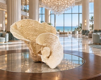 Large Natural Cup Coral Sculpture – Rare White Coral Specimen – Luxury Coastal Home Décor – 13″ Statement Coral