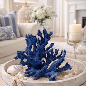Genuine Blue Reef Coral: Natural Coastal Decor (5-7 inch) for Nautical Decor