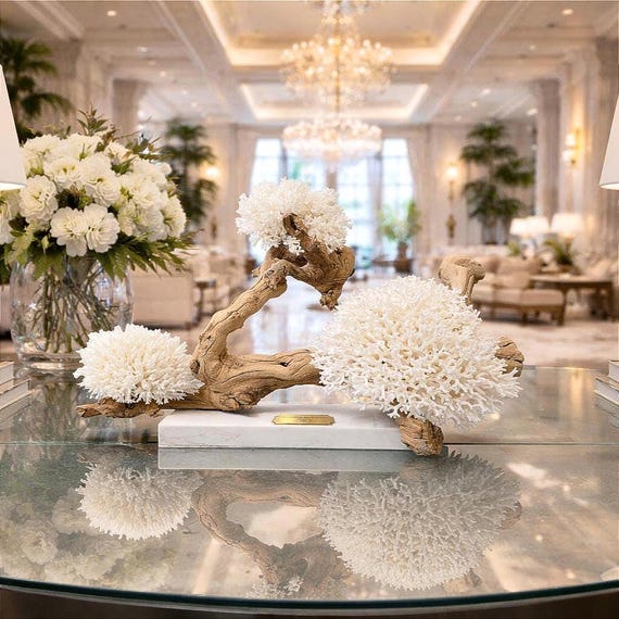 Large Coastal Coral Sculpture on Driftwood | Luxury Beach House Decor | Statement Piece