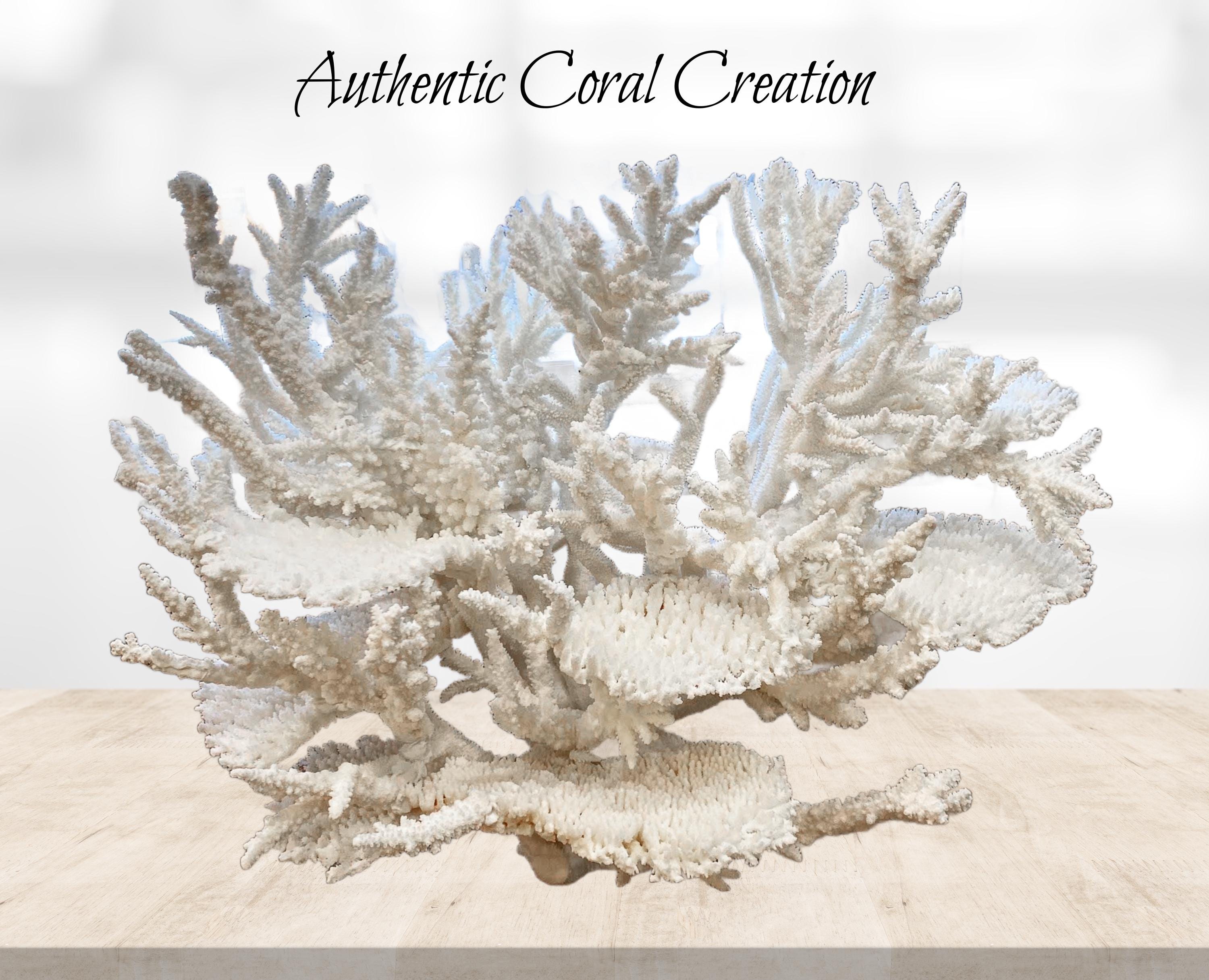 Large White Reef Coral Sculpture: Nautical Coastal Decor