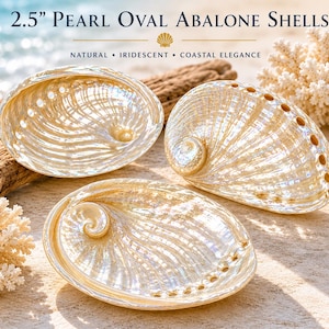 May include: Three iridescent, oval abalone shells, each approximately 2.5 inches in length, are displayed. The shells have a pearlescent sheen with natural, coastal elegance. The image includes text that reads "2.5" Pearl Oval Abalone Shells".