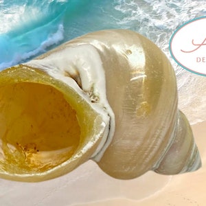 May include: A large, iridescent seashell with a golden interior. The shell is on a sandy beach with blue ocean water in the background.