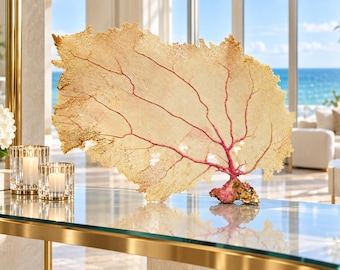 Natural Sea Fan Coral | Authentic Coastal Decor | Shelf & Console Styling | One of a Kind