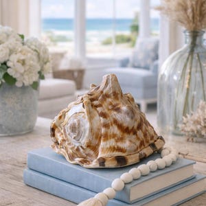 Extra Large King Helmet Shell: Natural Coastal Decor Piece