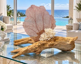 Tidal Lace | A One-of-a-Kind Coastal Sculpture