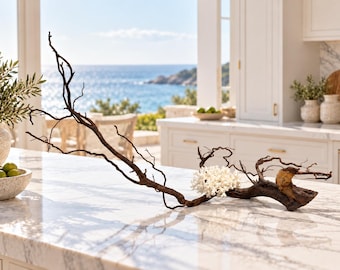 Tidal Reach | Natural Wood & White Coral Sculpture