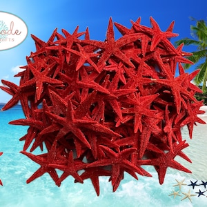 Tiny Dyed Authentic Starfish for Coastal Decor Vase Filler and Crafts
