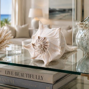 May include: A large, off-white conch shell with a spiral center sits on a glass surface next to a white coral sculpture and a glass vase. Below the glass, two stacked books are visible, with the top book titled Live Beautifully by Calderone.