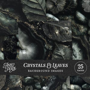 May include: A digital artwork composed of dark green and black leaves and crystal textures. The text "Crystals & Leaves Background Images" is displayed, along with the number "25 Pages". The Ash & Fern logo is also visible.
