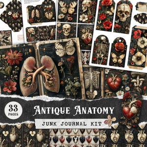 Kit de diário de anatomia antigo, itens góticos românticos, fundos sujos, caveira botânica escura e papel digital médico vintage de coração