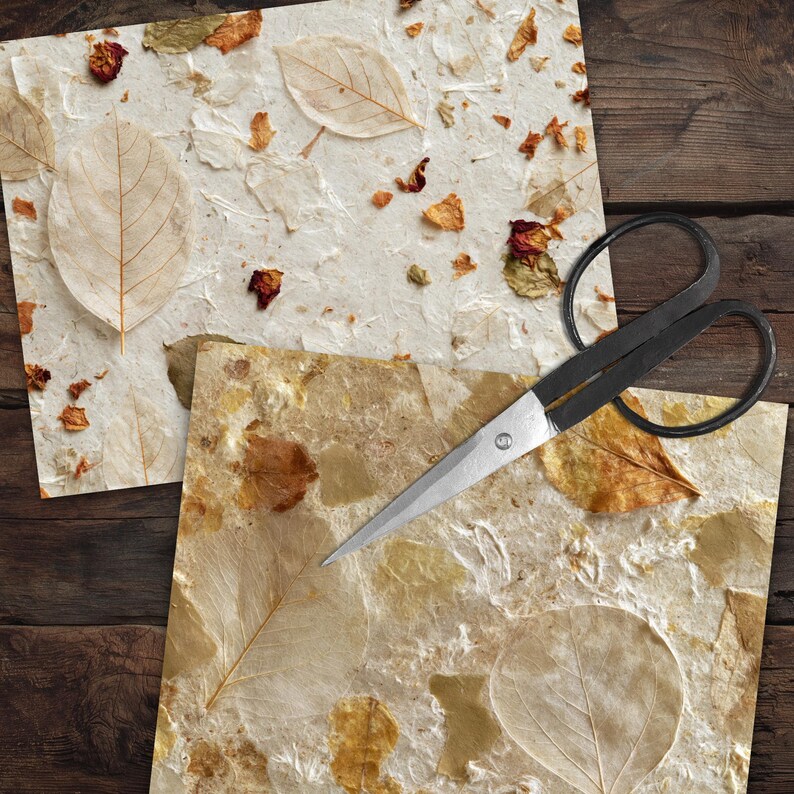 May include: Two sheets of textured, off-white handmade paper embedded with dried leaves and flower petals, featuring a visible vein structure on the leaves. A pair of black metal scissors with large finger loops rests on the paper sheets.