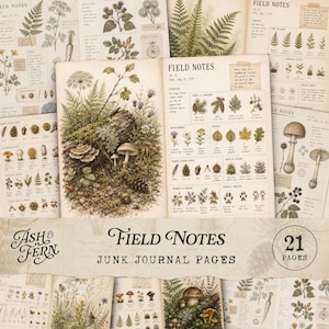 Op de afbeelding: Een verzameling van 21 junk journal pagina's getiteld Field Notes, met botanische illustraties in vintage-stijl van paddenstoelen, varens, wilde bloemen en diersporen op verouderd papier met handgeschreven notities en diagrammen.