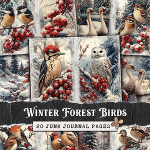 Winter Forest Birds Junk Journal Kit, Owls Woodpeckers & Swans Junk Journal Pages, Scrapbook Paper, Collage Sheets, Vintage Digital Papers