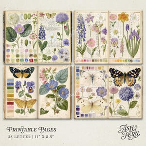 K&ouml;nnte beinhalten: Vintage botanische Illustrationen mit bunten Blumen und Schmetterlingen. Die Seiten zeigen detaillierte Zeichnungen verschiedener Pflanzenarten, begleitet von Farbfeldern und handschriftlichen Notizen. Der Text "Printable Pages" und "US Letter 27.94cm x 21.59cm" sind sichtbar.