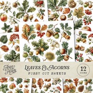 Op de afbeelding: Fussy cut vellen met aquarel illustraties van bladeren en eikels. De ontwerpen omvatten verschillende soorten bladeren, eikels, bessen en andere herfstbladeren in tinten groen, bruin en oranje. 12 pagina's.