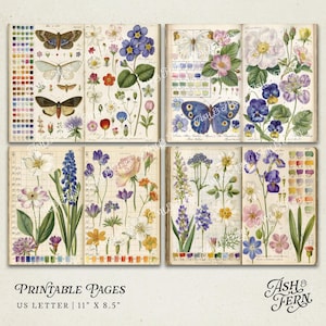 K&ouml;nnte beinhalten: Druckbare Seiten mit Vintage-Illustrationen von Blumen und Schmetterlingen. Die Seiten sind im US Letter-Format, 27,9 cm x 21,6 cm, mit farbenfrohen Blumen- und Insektenmotiven. Der Text "Printable Pages" befindet sich unten.