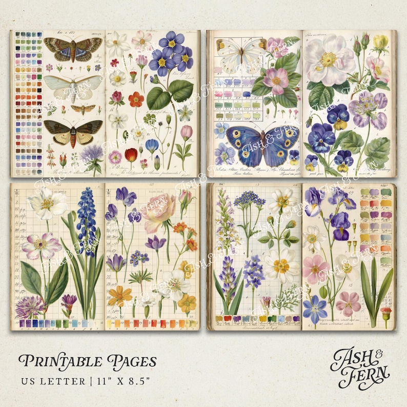 K&ouml;nnte beinhalten: Druckbare Seiten mit Vintage-Illustrationen von Blumen und Schmetterlingen. Die Seiten sind im US Letter-Format, 27,9 cm x 21,6 cm, mit farbenfrohen Blumen- und Insektenmotiven. Der Text "Printable Pages" befindet sich unten.