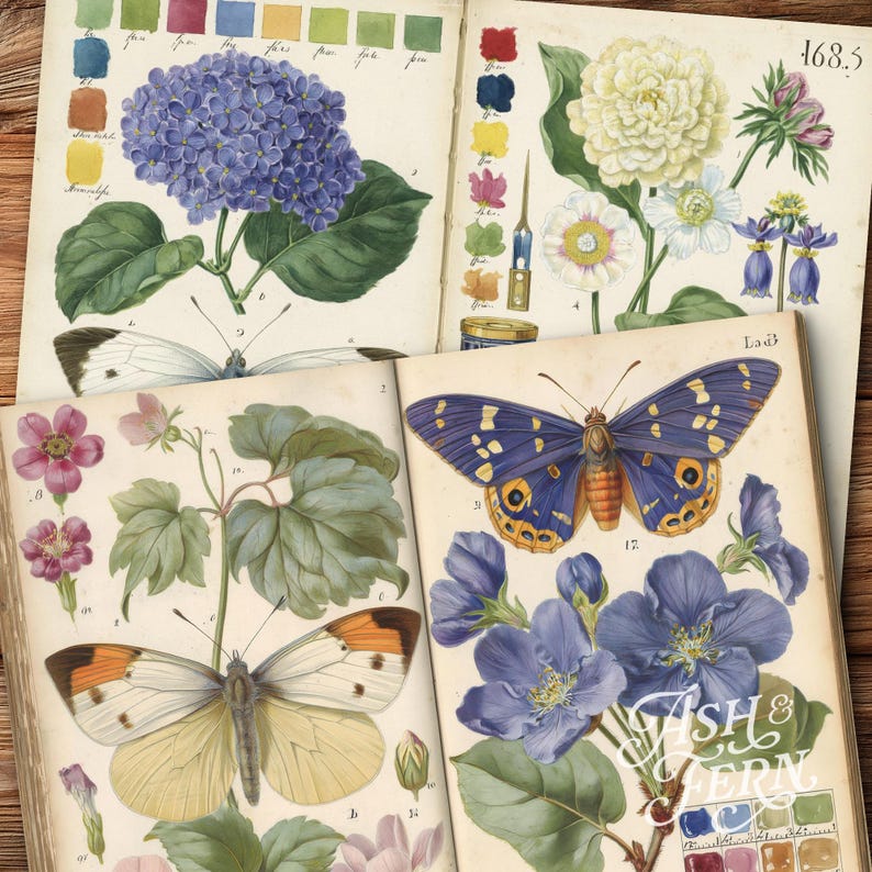 K&ouml;nnte beinhalten: Vintage botanische Illustrationen mit farbenfrohen Blumen und Schmetterlingen. Die ge&ouml;ffneten B&uuml;cher zeigen detaillierte Zeichnungen von Hortensien, G&auml;nsebl&uuml;mchen und anderen Blumen sowie Schmetterlinge mit komplizierten Fl&uuml;gelmustern. Die Farbpalette umfasst Blau-, Rosa- und Gelbt&ouml;ne.