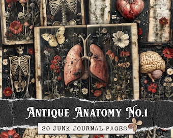 Antique Anatomy Junk Journal Pages, Printable Vintage Medical Ephemera, Dark Botanical Gothic Scrapbook Digital Paper | Skeleton, Heart JPG