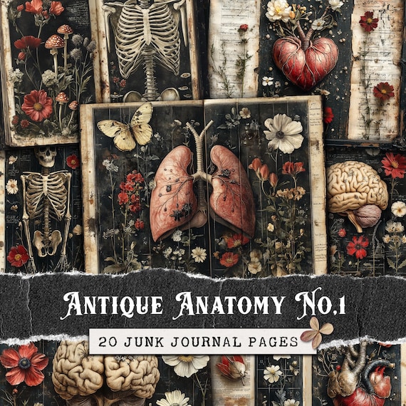 Antique Anatomy Junk Journal Pages, Printable Vintage Medical Ephemera, Dark Botanical Gothic Scrapbook Digital Paper | Skeleton, Heart JPG