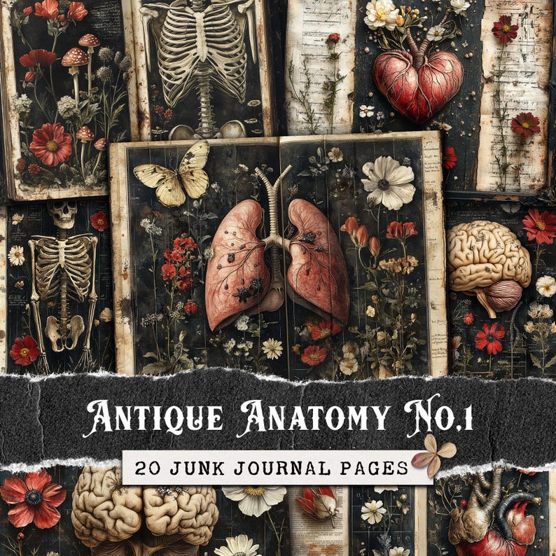 May include: A collage of 20 vintage anatomical illustrations featuring a skeleton, lungs, heart, and brain. The images are surrounded by floral elements and have a dark, gothic aesthetic.  Antique Anatomy No. 1 - 20 Junk Journal Pages.