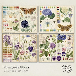 K&ouml;nnte beinhalten: Eine Sammlung von druckbaren Seiten im Vintage-Stil mit botanischen Illustrationen von Schmetterlingen und Blumen. Die Seiten enthalten Farbfelder und wissenschaftliche Beschriftungen. Der Text "Printable Pages" und "US Letter 11" x 8.5" ist sichtbar.