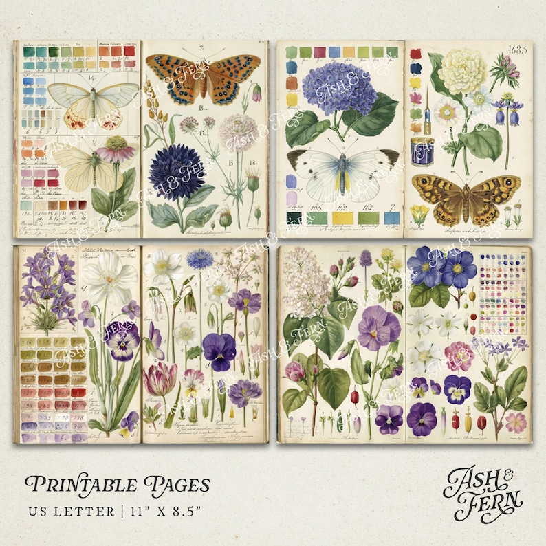 K&ouml;nnte beinhalten: Eine Sammlung von druckbaren Seiten im Vintage-Stil mit botanischen Illustrationen von Schmetterlingen und Blumen. Die Seiten enthalten Farbfelder und wissenschaftliche Beschriftungen. Der Text "Printable Pages" und "US Letter 11" x 8.5" ist sichtbar.
