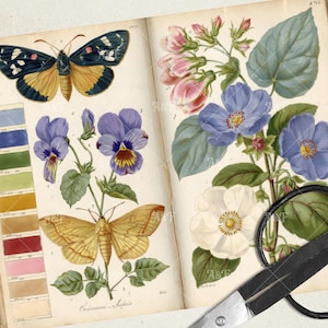 Vintage Schmetterling Studie druckbare Junk Journal Seiten, botanische Insekt Collage Papiere, florale Natur Ephemera für Scrapbooking & Crafts JPG Bild 5