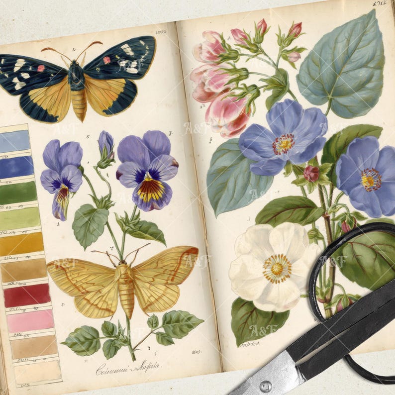 Vintage Schmetterling Studie druckbare Junk Journal Seiten, botanische Insekt Collage Papiere, florale Natur Ephemera für Scrapbooking & Crafts JPG Bild 5