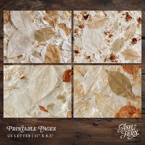 May include: Four rectangular printable pages featuring a collage of translucent skeleton leaves, dried flower petals, and textured white paper fibers. The pages measure 11 inches by 8.5 inches and include the text Ash & Fern in the corner.