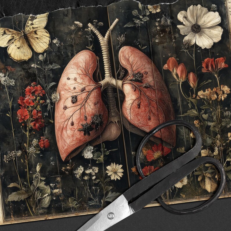 May include: A vintage anatomical illustration of a human lung with intricate details, surrounded by floral elements and a pair of scissors. The image has a dark, moody aesthetic.