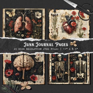 May include: Four digital collage images featuring anatomical illustrations of the human heart, lungs, brain, and skeleton. Each image is set against a vintage book page background with dried flowers and botanical elements. The text "Junk Journal Pages" is displayed at the bottom of the image.