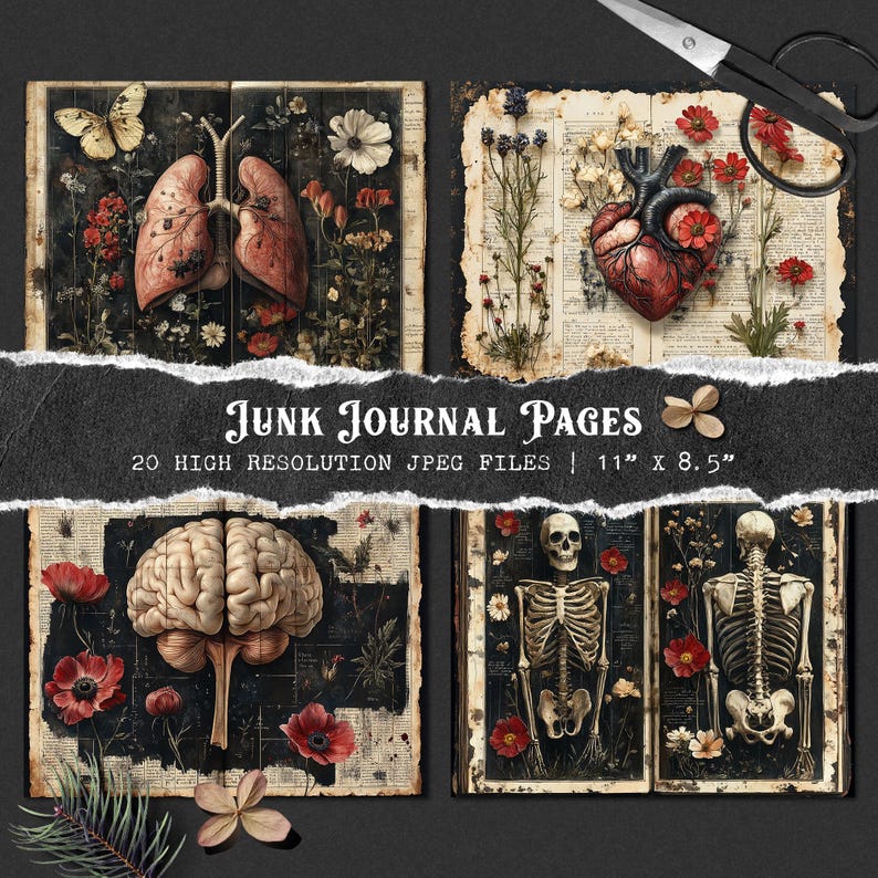 May include: Four digital collage images featuring anatomical illustrations of the human heart, lungs, brain, and skeleton. Each image is set against a vintage book page background with dried flowers and botanical elements. The text "Junk Journal Pages" is displayed at the bottom of the image.