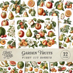 Könnte beinhalten: Eine Sammlung von 12 filigranen Schnittbögen mit Aquarellillustrationen verschiedener Gartenfrüchte. Die Bögen zeigen Äpfel, Birnen, Orangen, Pfirsiche und andere Früchte mit grünen Blättern und weißen Blüten. Der Text "Garden Fruits" ist abgebildet.