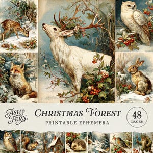Puede incluir: Un collage de ilustraciones vintage con temática navideña que presenta animales del bosque y escenas invernales. Incluye un ciervo blanco con cuernos, un búho, un zorro y un conejo. También se ve el texto "Christmas Forest Printable Ephemera".