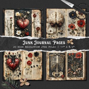 May include: 20 high-resolution digital images of vintage book pages with anatomical illustrations and floral designs. The pages feature a heart, brain, ribcage, and various flowers. The images are 11 inches by 8.5 inches.